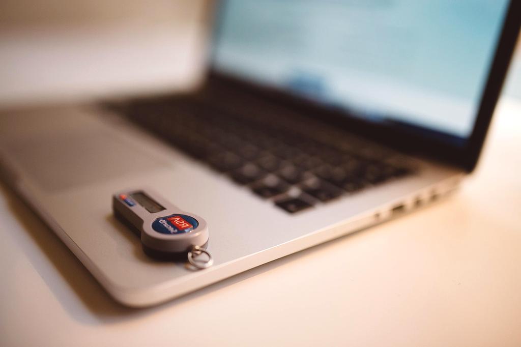 Biometric home security system interface