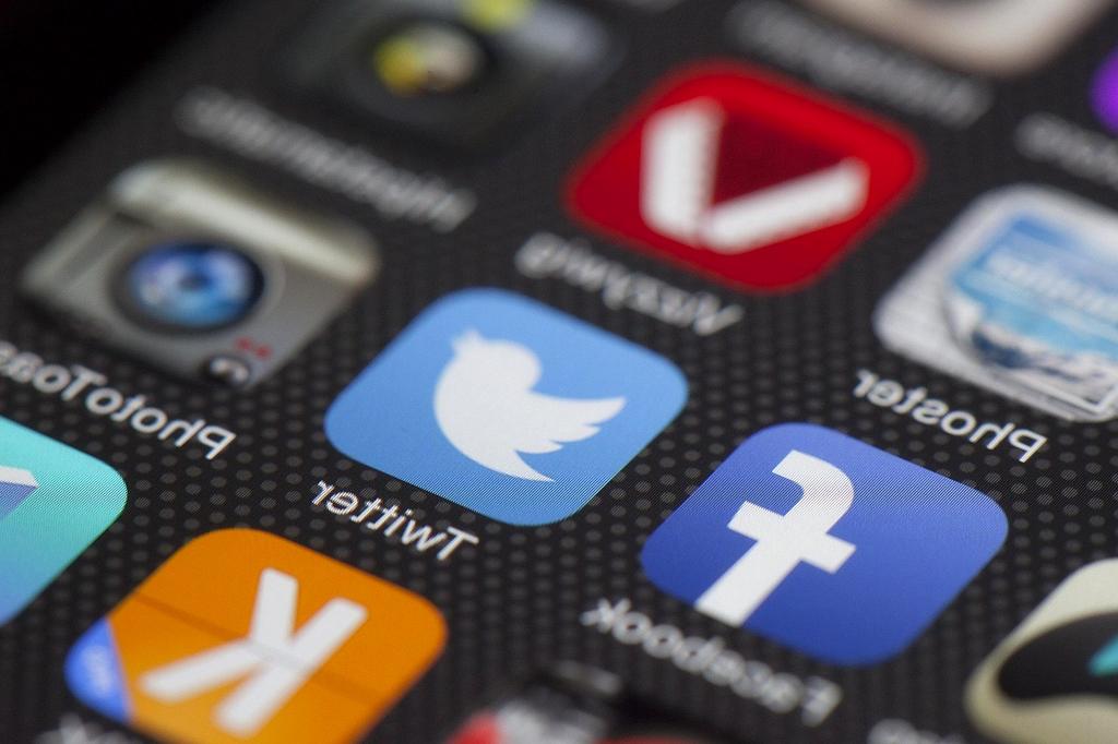 Neural network processing visualization